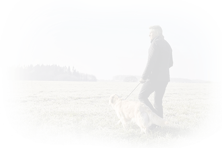 Zdjęcie Ile kalorii spalisz podczas spaceru z psem? Sprawdź to teraz!