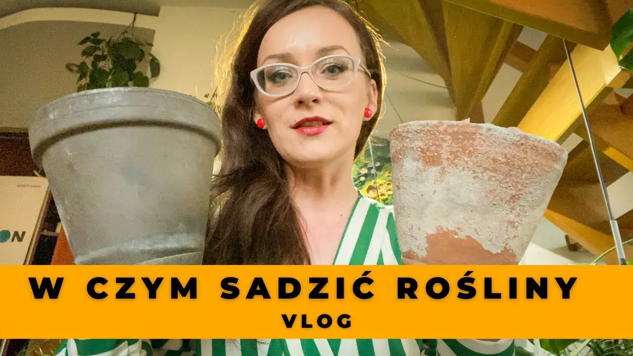 Zdjęcie Jak sadzić kwiaty w doniczce bez dziur, aby uniknąć gnicia korzeni
