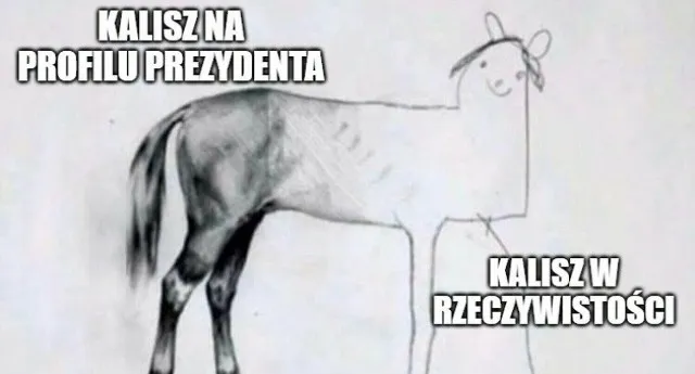 Zdjęcie Najlepsze memy ale jaja, które rozbawią cię do łez