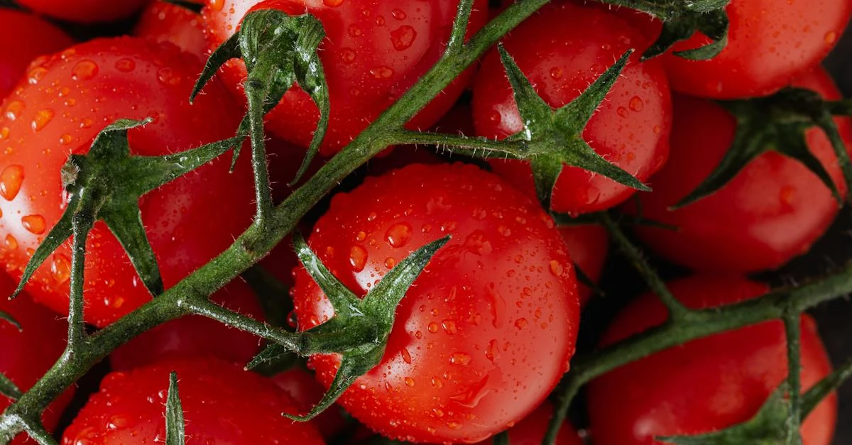 Farma Fotowoltaiczna Opłacalność - Potencjalne Zyski i Opłacalność Inwestycji w Farmy Fotowoltaiczne