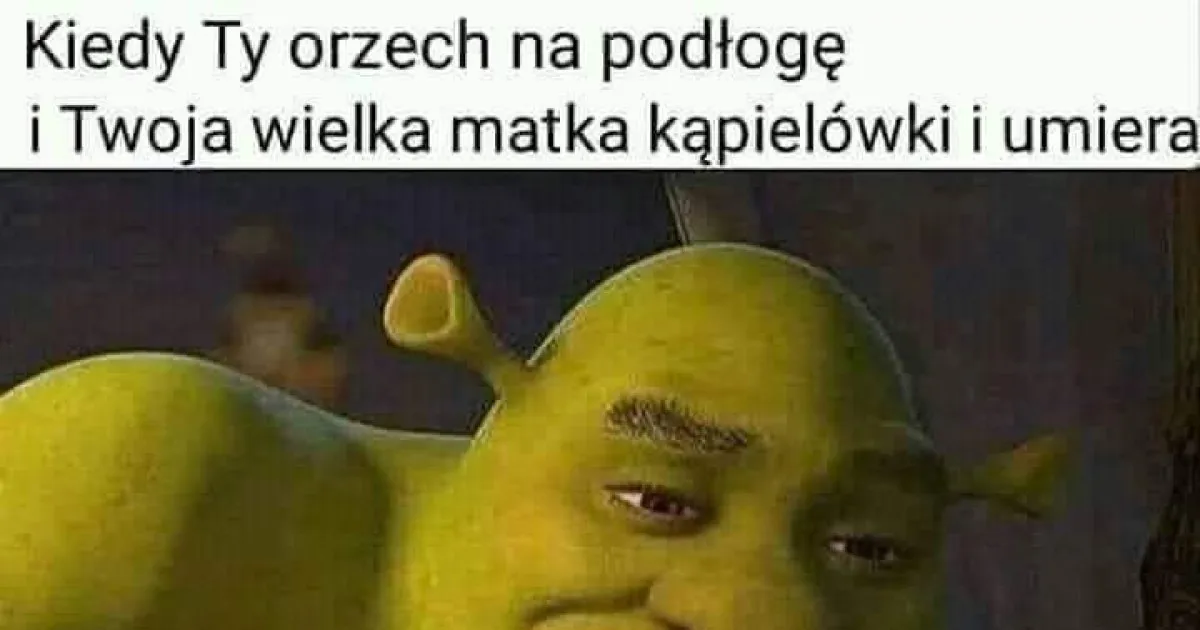 Zdjęcie Kto bada odbyt? Specjaliści i przebieg badania - co warto wiedzieć