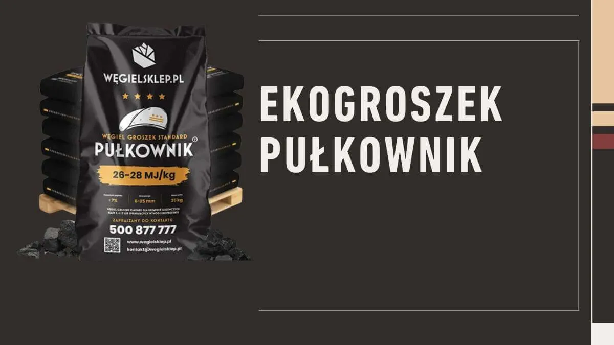 Zdjęcie Ile kosztuje ekogroszek workowany? Sprawdź ceny i oszczędności