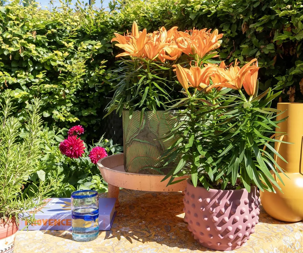 Zdjęcie Jak sadzić lilie w doniczkach, aby uniknąć najczęstszych błędów