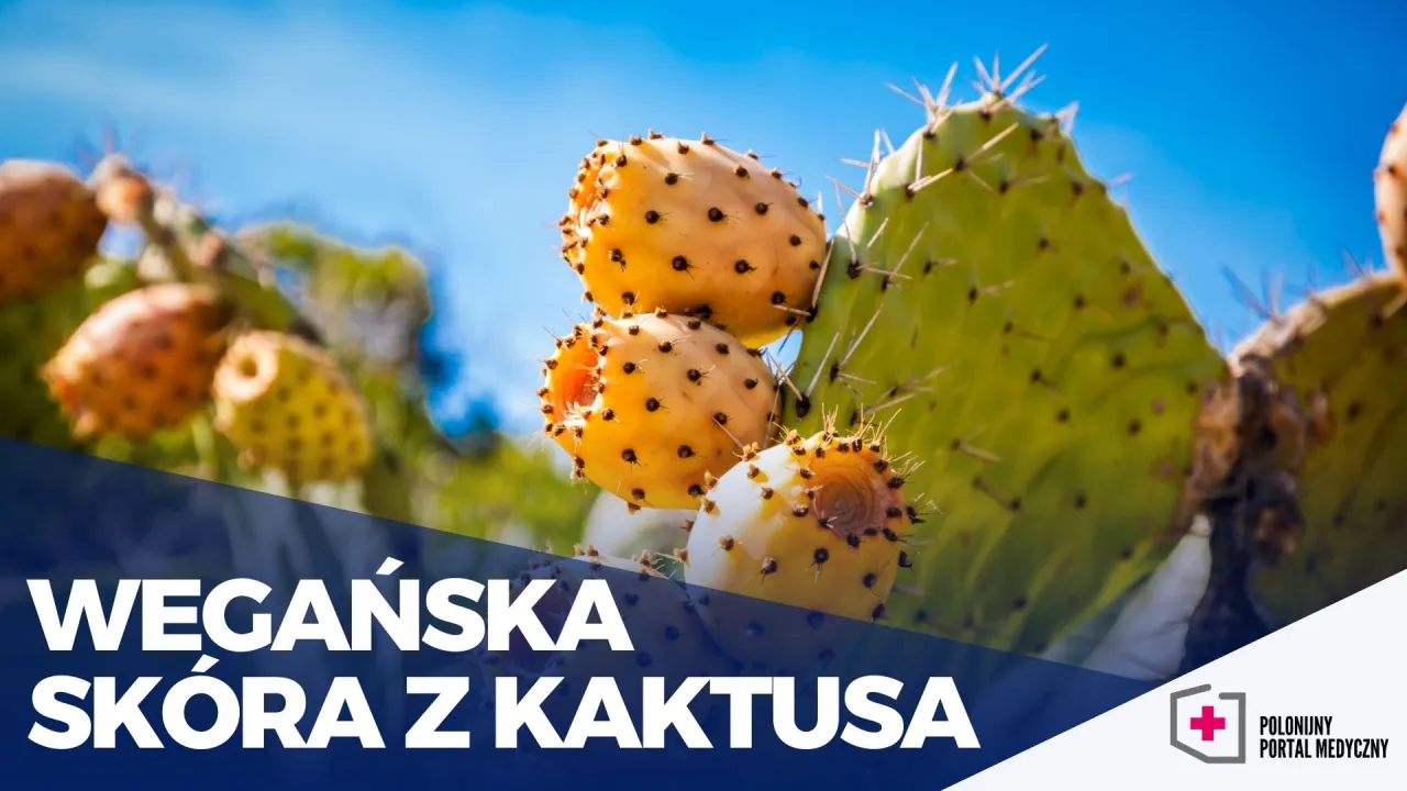 Zdjęcie Skóra wegańska – co to jest i dlaczego warto ją znać?