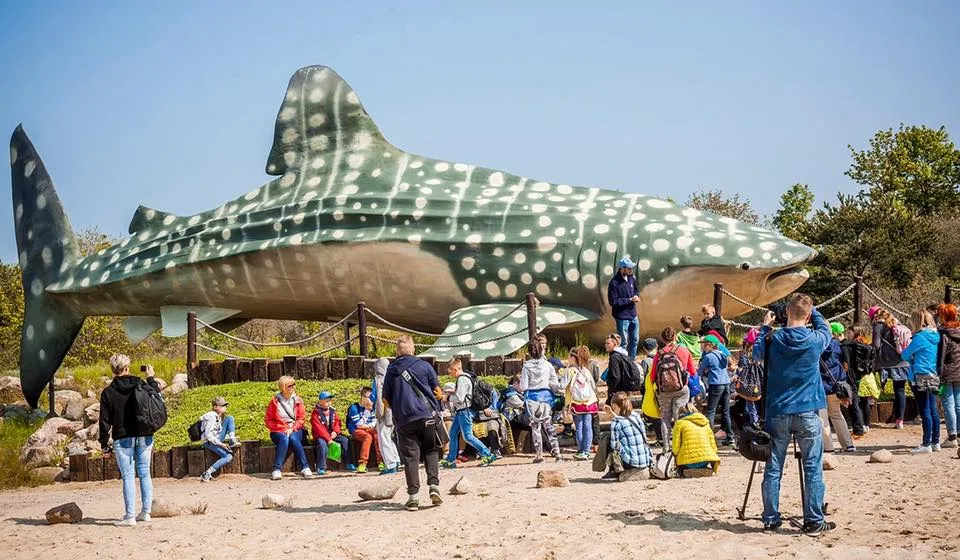Zdjęcie Oceanarium Władysławowo - Niezapomniane atrakcje i edukacja dla każdego