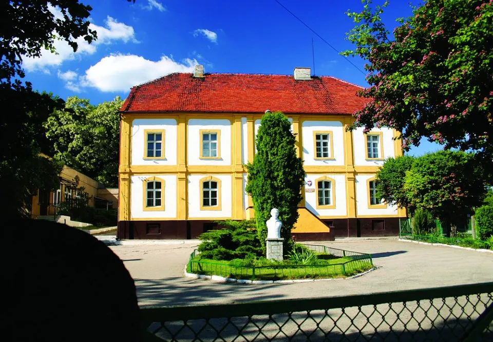 Zdjęcie Najlepsze atrakcje w Dolsku, które musisz zobaczyć podczas wizyty