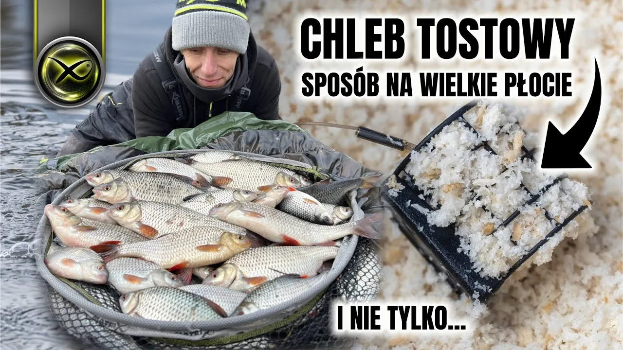 Zdjęcie Jak założyć chleb na haczyk, aby nie spadał podczas wędkowania