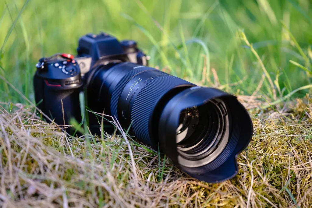 Zdjęcie Obiektyw Tamron czy Nikkor - który wybór nie zawiedzie fotografa?