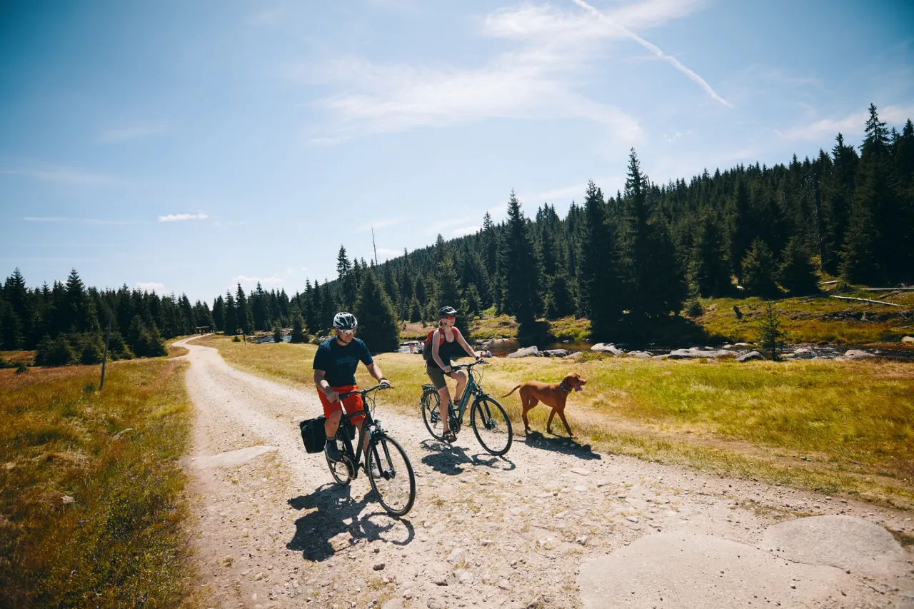 Zdjęcie Jaki rower trekkingowy damski wybrać, aby uniknąć rozczarowania?