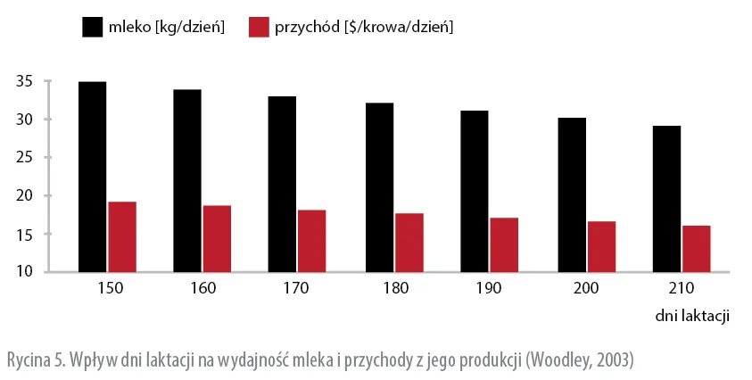Zdjęcie Ile trwa laktacja u krów? Zaskakujące fakty i wpływ na hodowlę