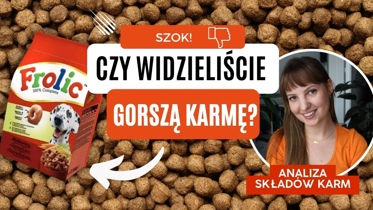 Zdjęcie Najgorsza karma dla psa: unikaj tych szkodliwych składników