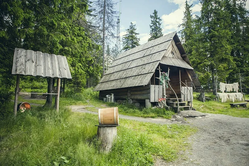 Zdjęcie Bacówka Kościelisko - wyjątkowe doświadczenia i tradycyjne sery w Tatrach