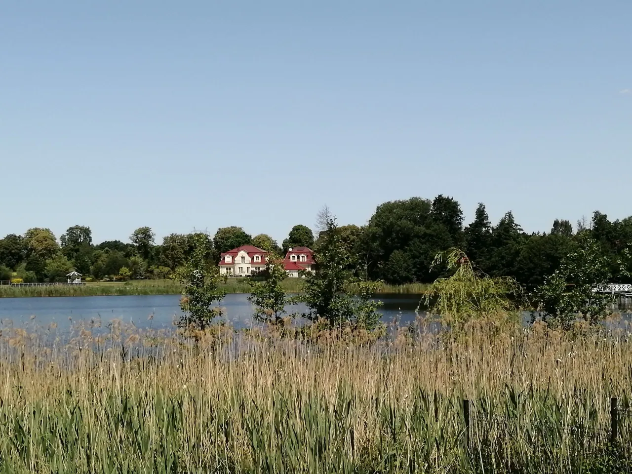 Zdjęcie Jezioro Umultowskie - tajemnice, ekologia i atrakcje w okolicy