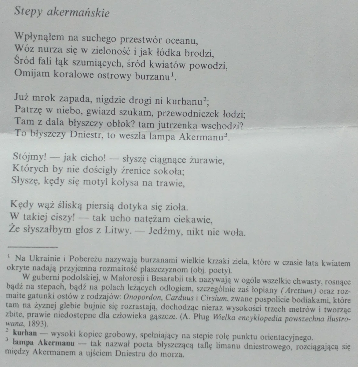Zdjęcie Stepy akermańskie – analiza, interpretacja i znaczenie wiersza Mickiewicza