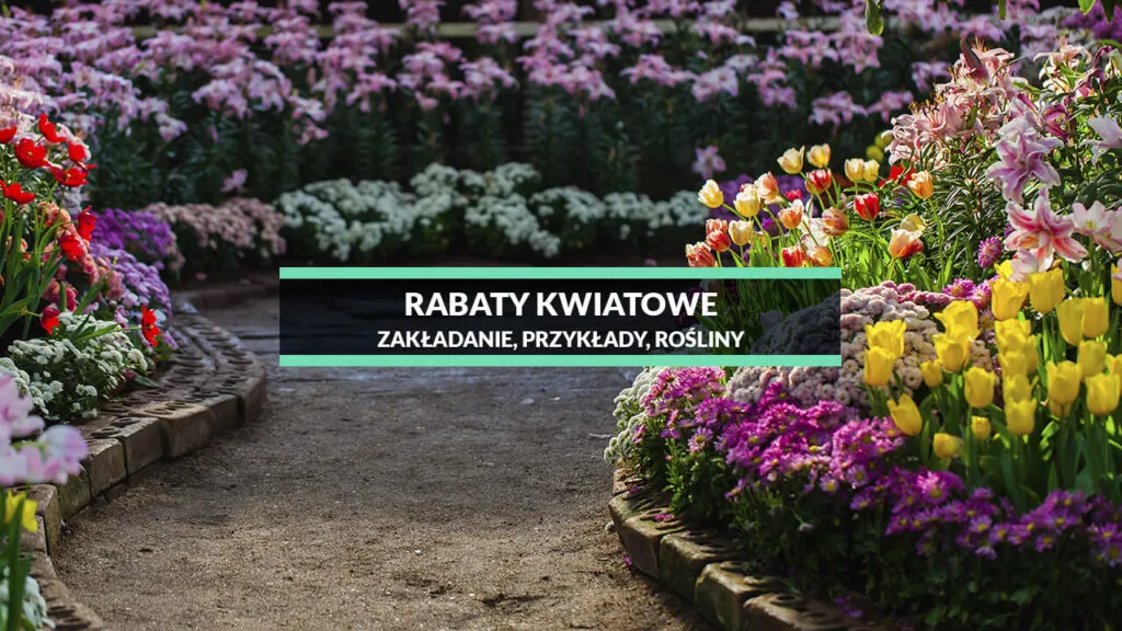 Zdjęcie Czym ogrodzić rabaty kwiatowe? 10 pomysłów na piękne obramowania