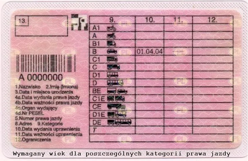 Zdjęcie Ile kosztuje prawo jazdy kategorii A1? Prawdziwe koszty, które cię zaskoczą!