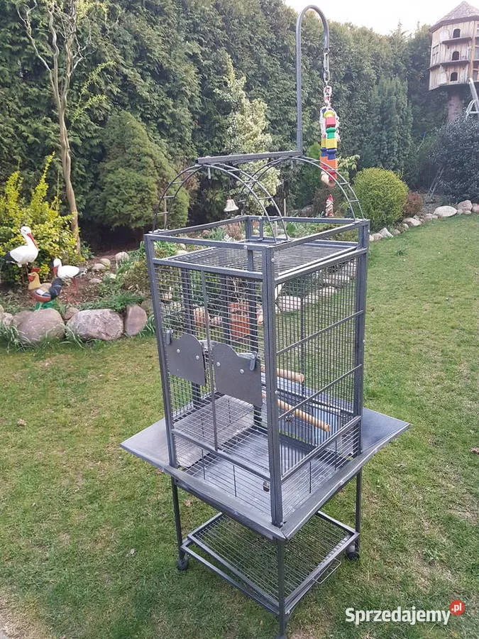 Zdjęcie Ile kosztuje klatka dla papugi? Ceny, rodzaje i porady zakupowe
