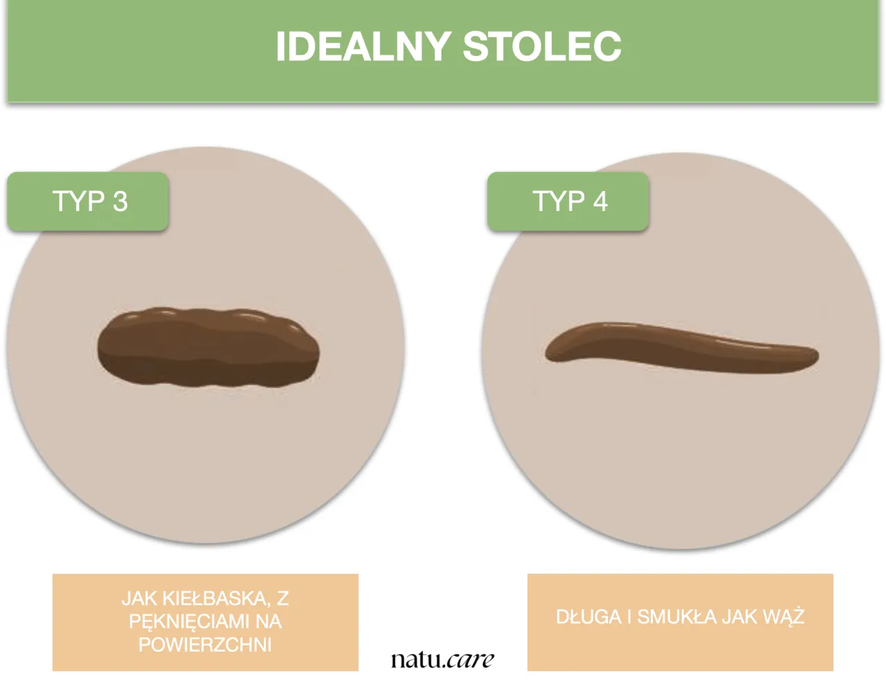 Zdjęcie Kolory stolca u kota: Co oznaczają zmiany w kolorze kału?