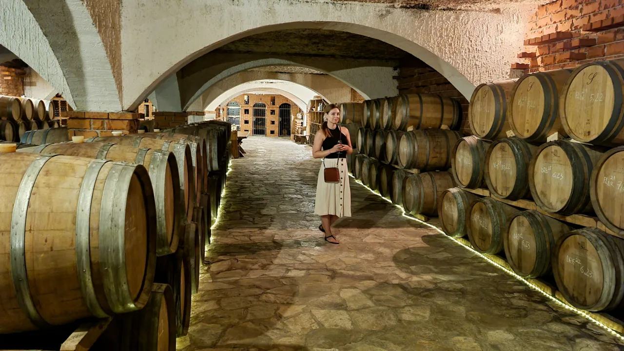 Zdjęcie Co warto kupić w Chorwacji? Unikalne pamiątki, które zachwycą