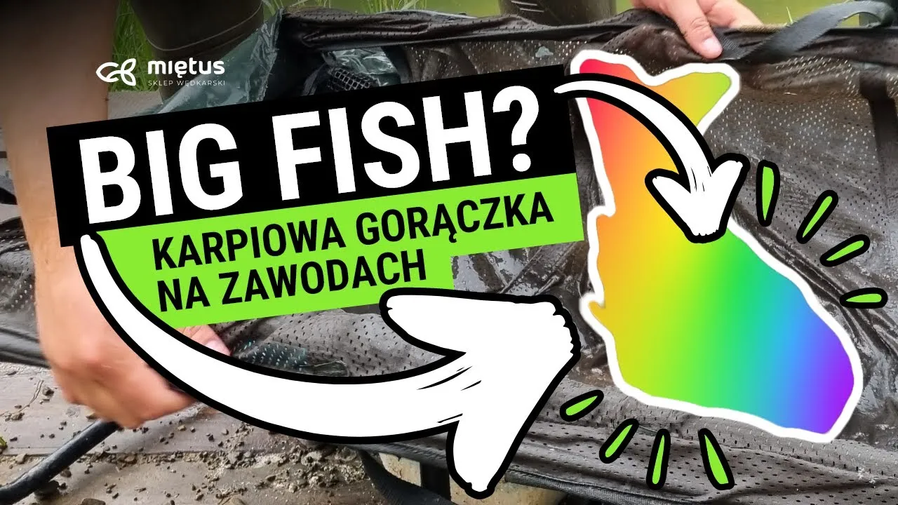 Zdjęcie Łowisko Jeleśnia - idealne miejsce na wędkarską przygodę i relaks