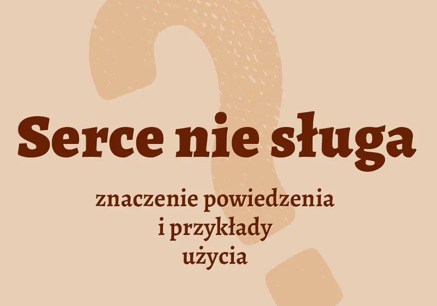Zdjęcie Znaczenie powiedzenia kto by nie wiedział ile to jest dwa plus dwa w kulturze