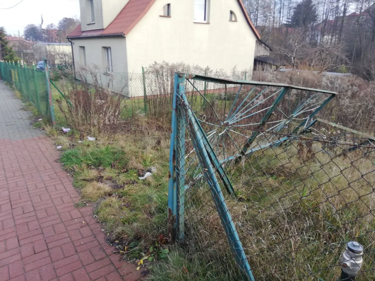 Zdjęcie Zaniedbana działka rod od czego zacząć? Oto proste kroki do sukcesu