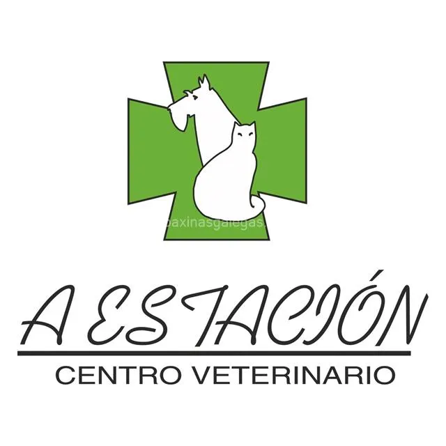 Zdjęcie Veterinario La Estación: servicios esenciales y atención 24 horas