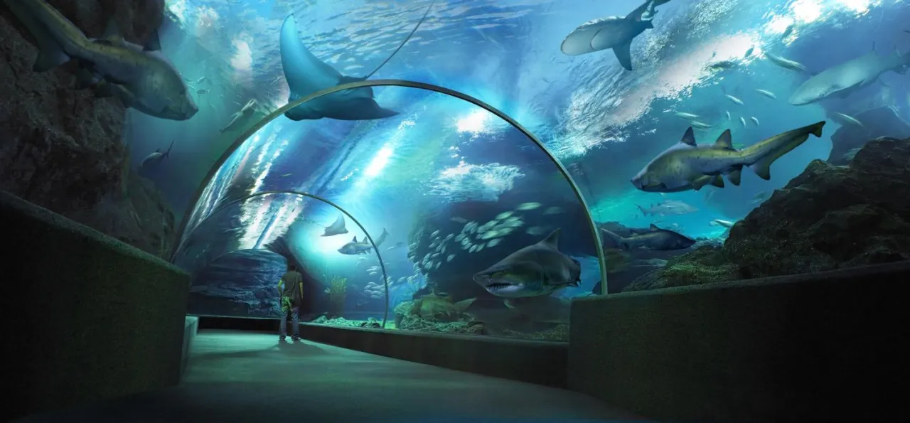 Zdjęcie Oceanarium Kreta: Niezapomniane atrakcje i tajemnice morskiego świata