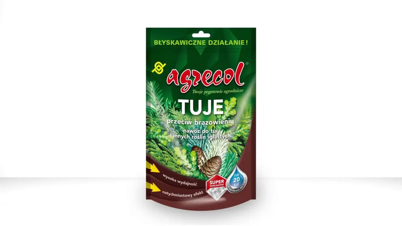 Zdjęcie Jaki nawóz pod tuje na zimę, aby uniknąć brązowienia igieł?