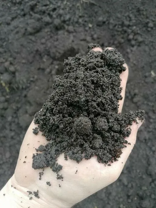 Zdjęcie Ile czarnoziemu pod trawnik? Oblicz potrzebną ilość dla zdrowego trawnika