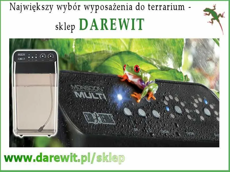 Zdjęcie Jak zrobić zraszacz do terrarium i uniknąć problemów z nawilżaniem