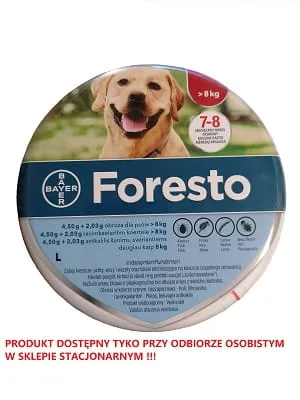 Zdjęcie Obroża Foresto – czy można kąpać psa bez obaw o skuteczność?