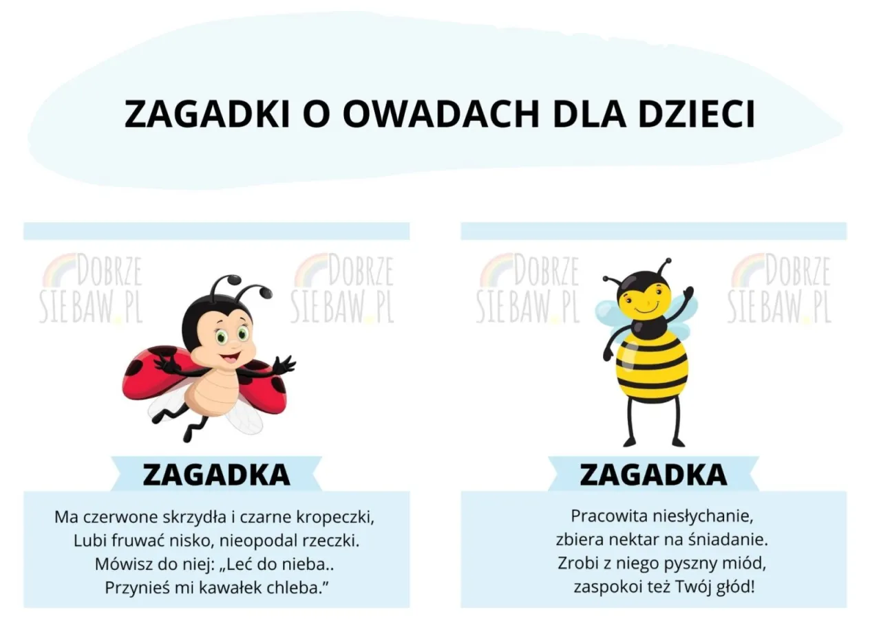 Zdjęcie Zagadki o owadach – śmieszne zagadki, które rozweselą każde dziecko