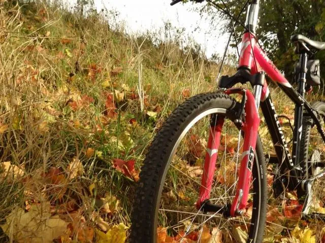 Zdjęcie Najlepsze trasy rowerowe w Swornegaciach - odkryj ukryte skarby