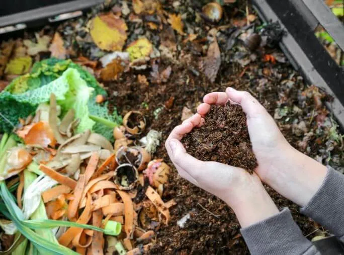 Zdjęcie Jak powstaje kompost w ogrodzie: prosty przepis na naturalny nawóz