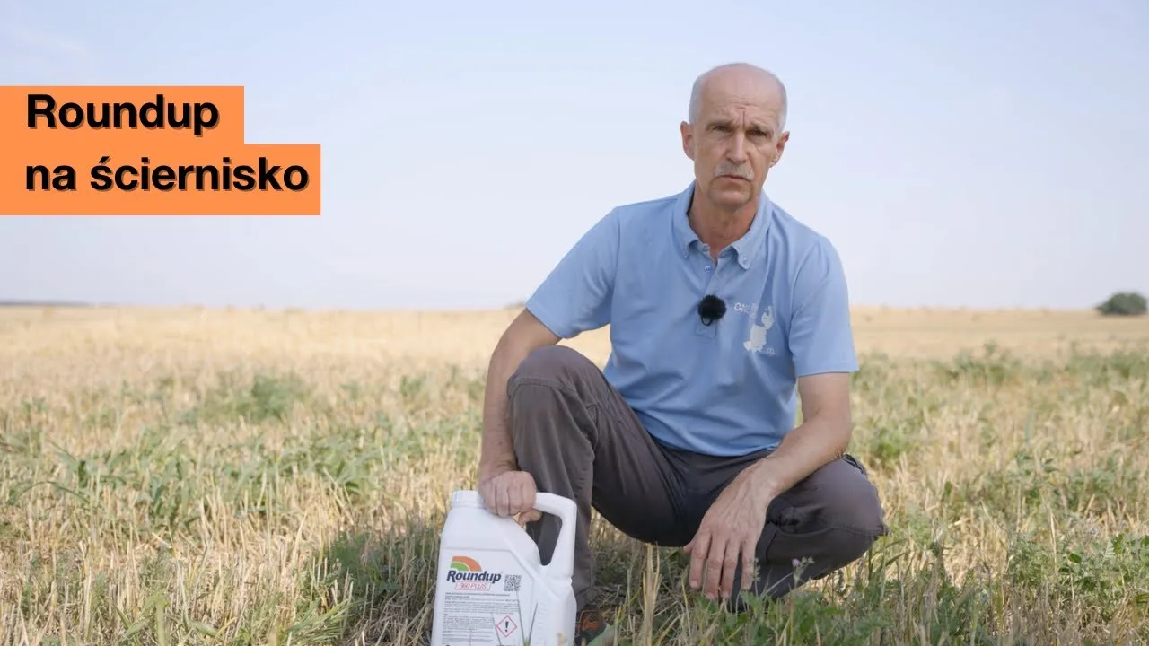 Zdjęcie Jak opryskiwać randapem, aby uniknąć błędów i osiągnąć najlepsze efekty