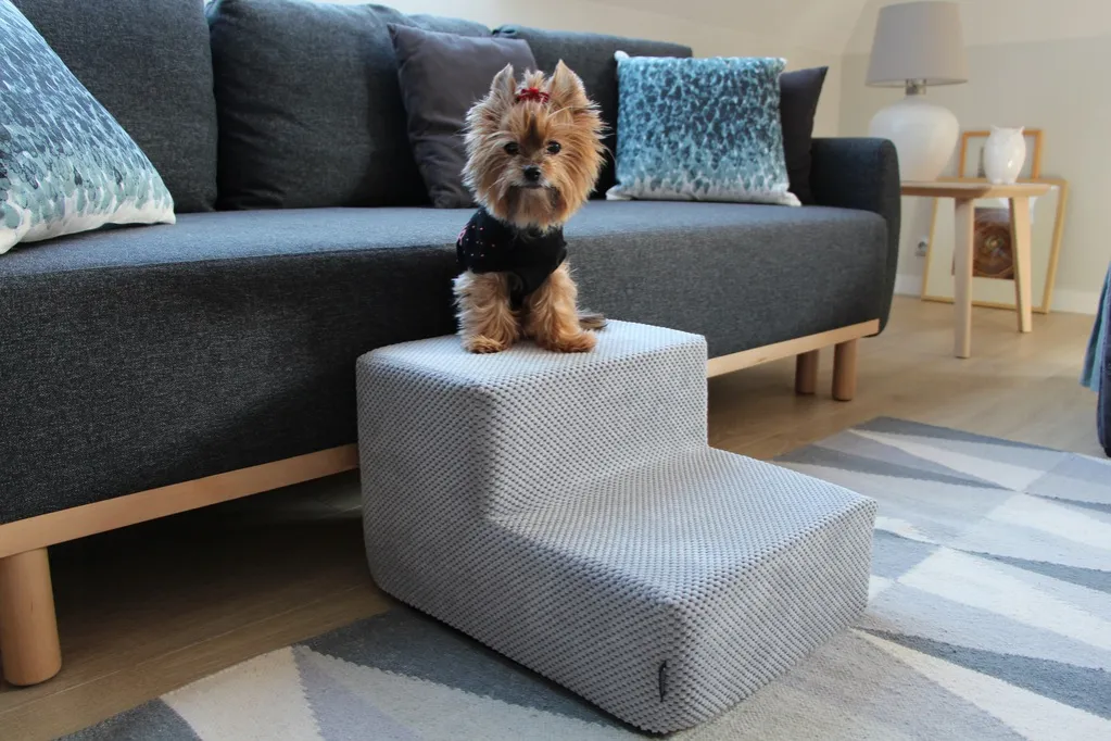 Zdjęcie Jak zrobić schodki dla psa, aby zapewnić mu bezpieczeństwo i komfort