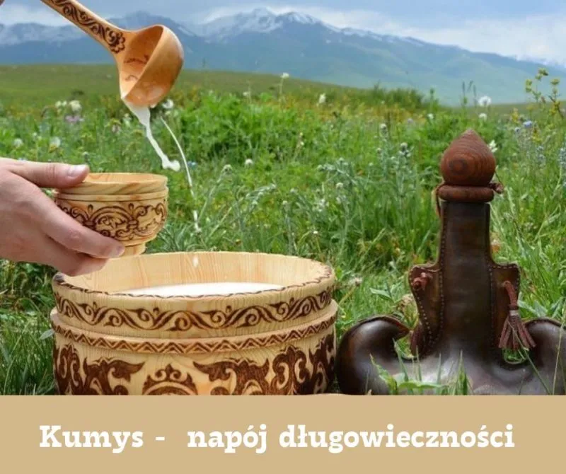 Zdjęcie Kumys z mleka klaczy: tradycyjny napój pełen zdrowotnych korzyści