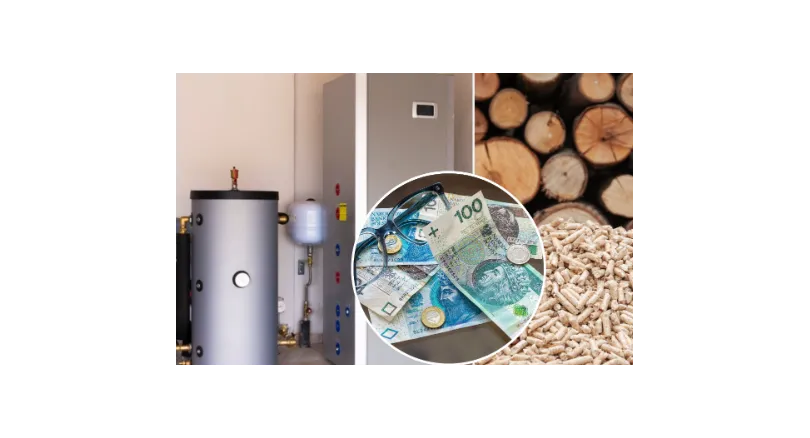 Zdjęcie Ogrzewanie gaz czy pellet: Które rozwiązanie jest tańsze i lepsze?