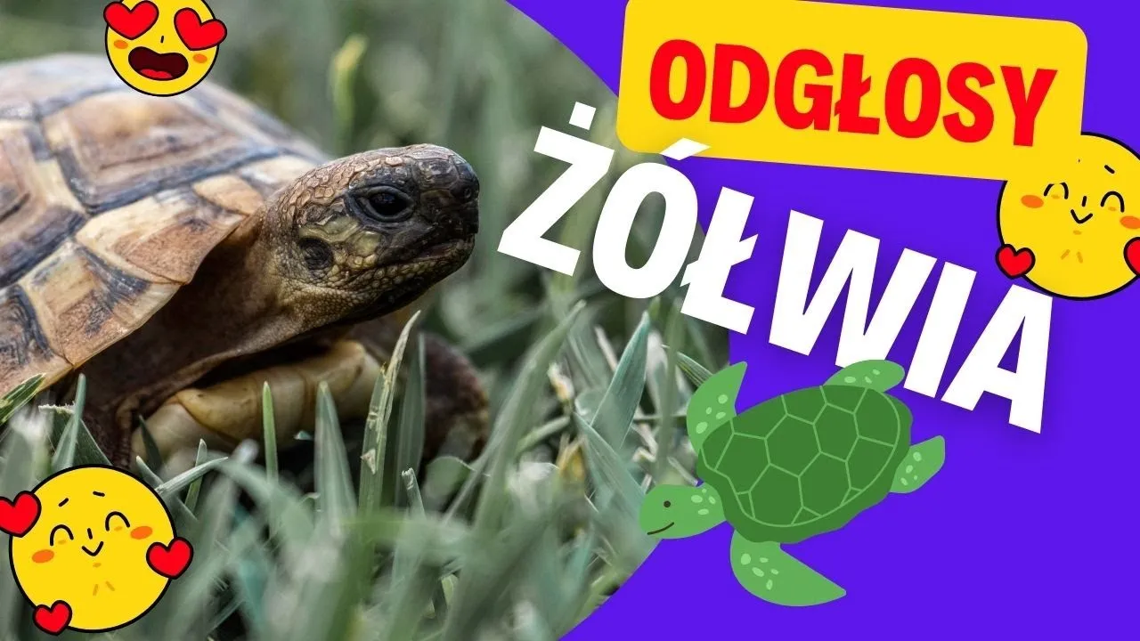 Zdjęcie Jakie dźwięki wydaje żółw? Odkryj ich fascynujące odgłosy