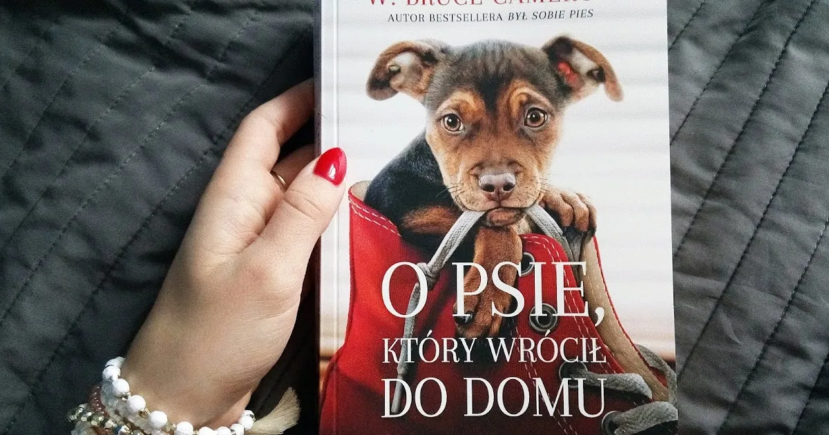 Zdjęcie O psie który wrócił do domu książka - wzruszająca opowieść o wierności