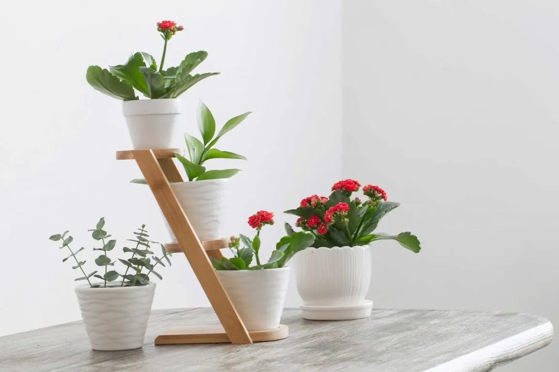 Zdjęcie Jak łatwo zrobić kwietnik drewniany drabinka – krok po kroku