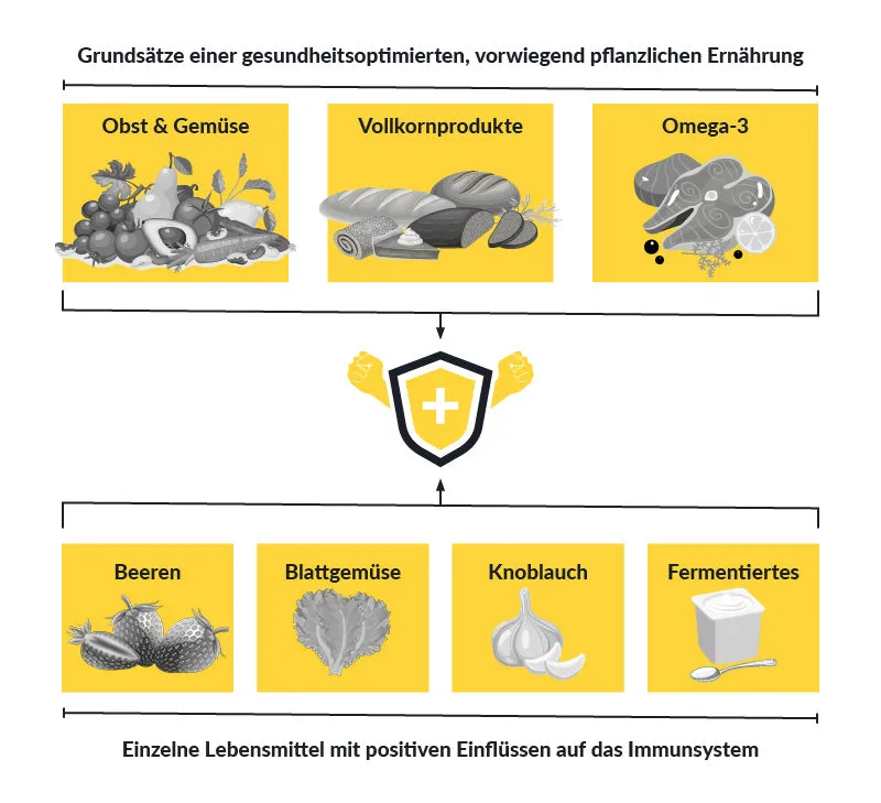 Zdjęcie Immunsystem im Keller stärken: So vermeiden Sie gesundheitliche Risiken