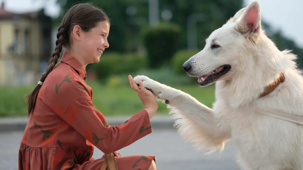 Zdjęcie Film o psie który jeździł koleją dla dzieci – wzruszająca historia przyjaźni