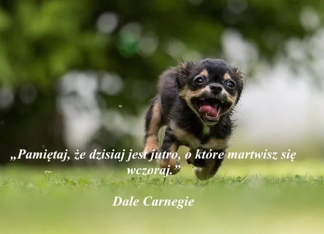 Zdjęcie Śmieszne anegdoty o życiu, które skrywają mądre życiowe lekcje