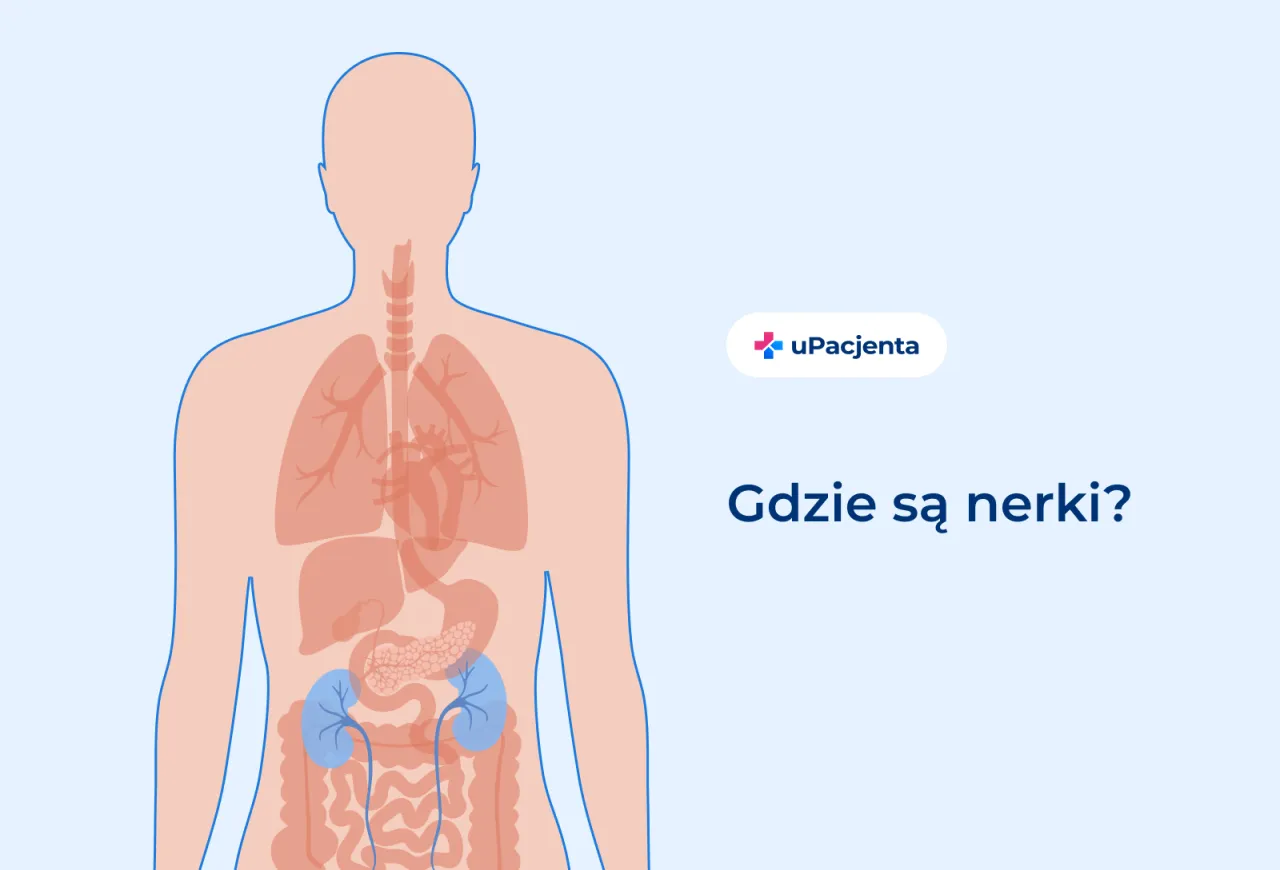 Zdjęcie Jak bolą nerki? 7 kluczowych objawów, które musisz znać