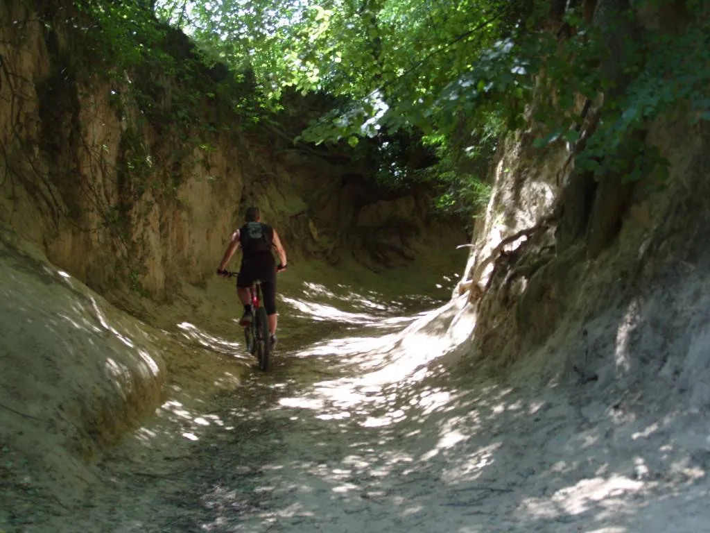 Zdjęcie Trasy rowerowe w Kazimierzu Dolnym: odkryj najlepsze szlaki i atrakcje