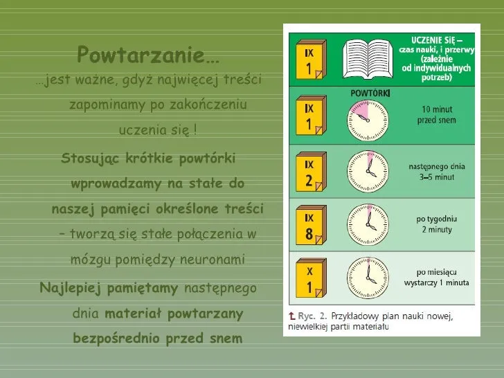 Zdjęcie Jak uczyć się biologii skutecznie: najlepsze metody i praktyczne porady