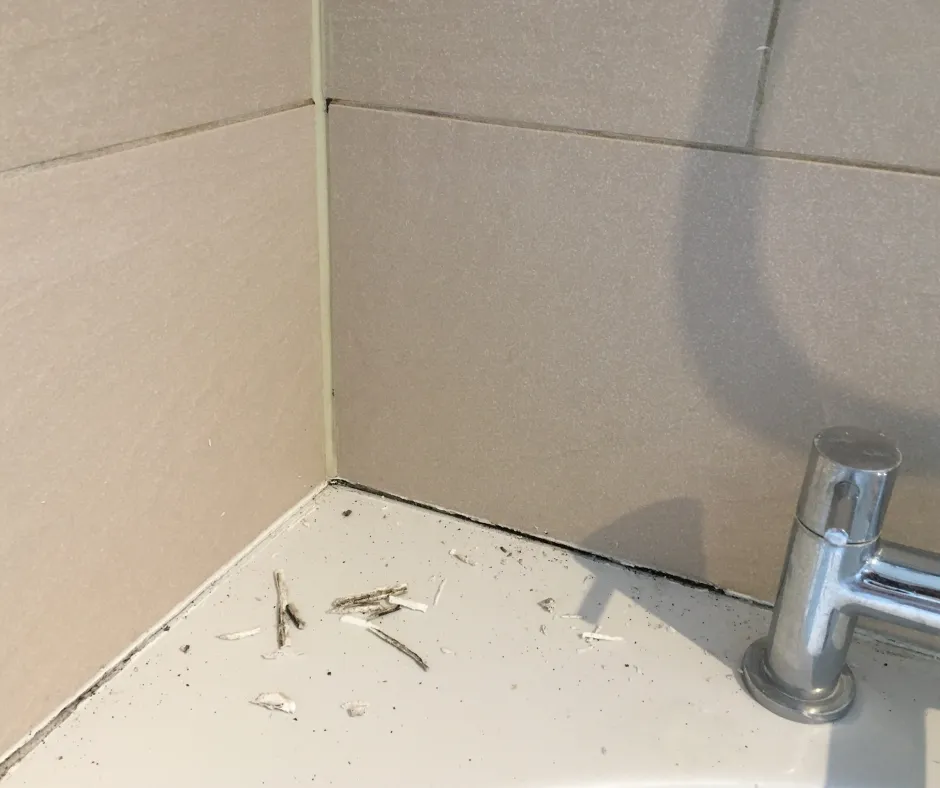 Zdjęcie Skuteczne sposoby na zmycie silikonu z płytek ceramicznych bez uszkodzeń