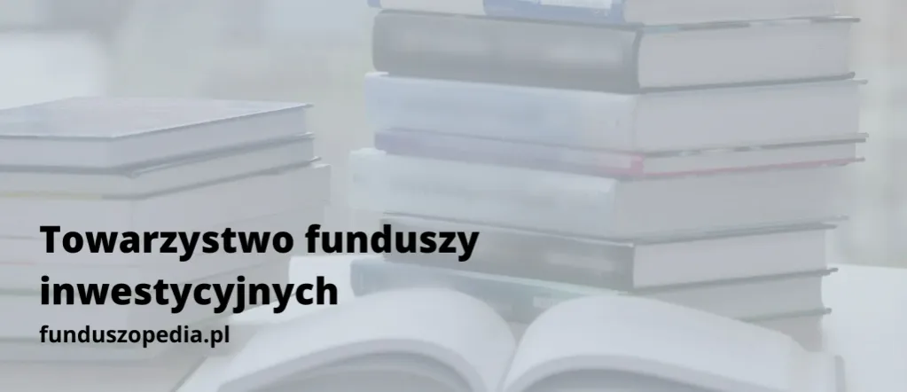 Zdjęcie Towarzystwo funduszy inwestycyjnych: Jak nie stracić pieniędzy inwestując mądrze?